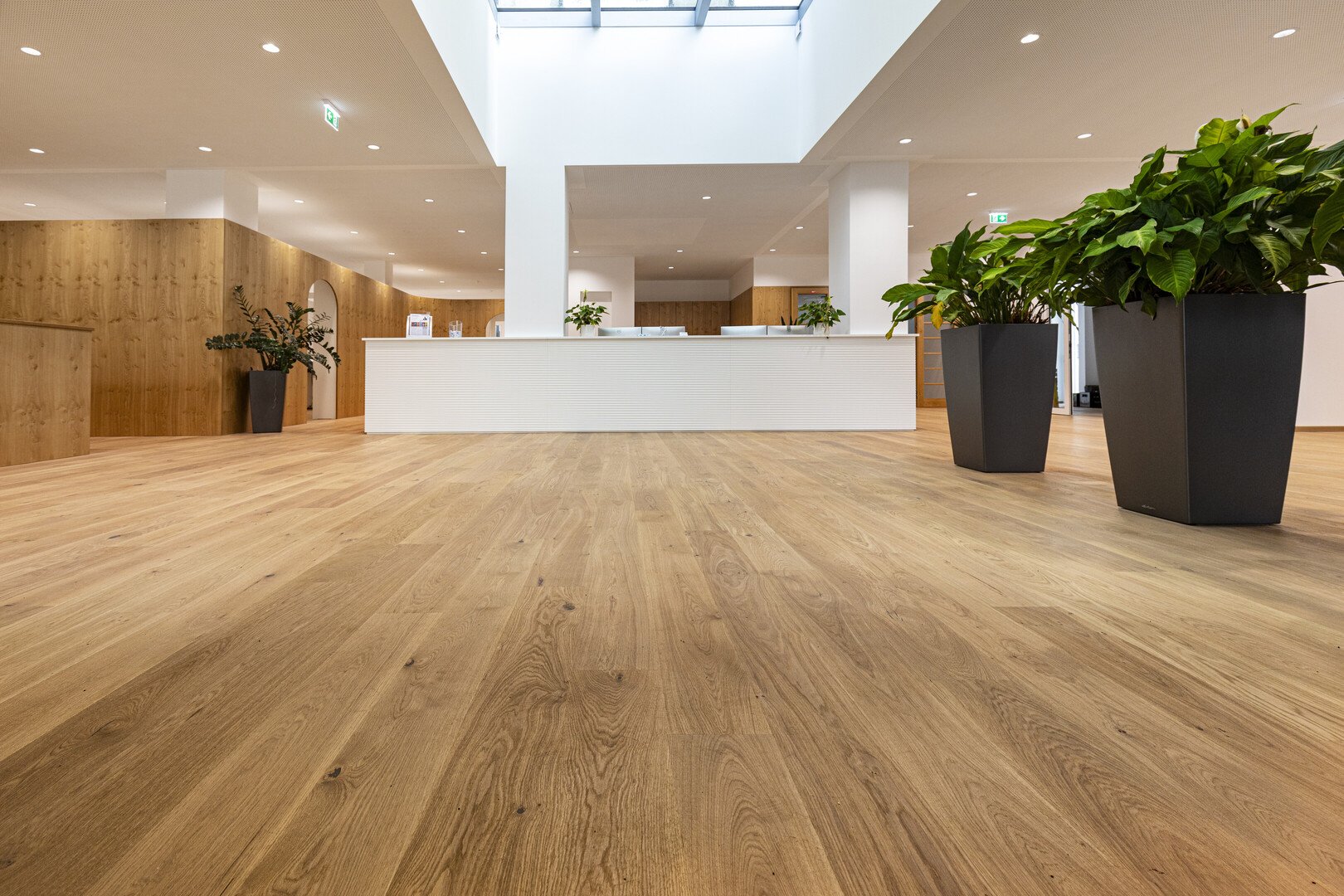 TRAPA Dielenboden Eiche astig gebürstet Lugano - ProConsult, AT