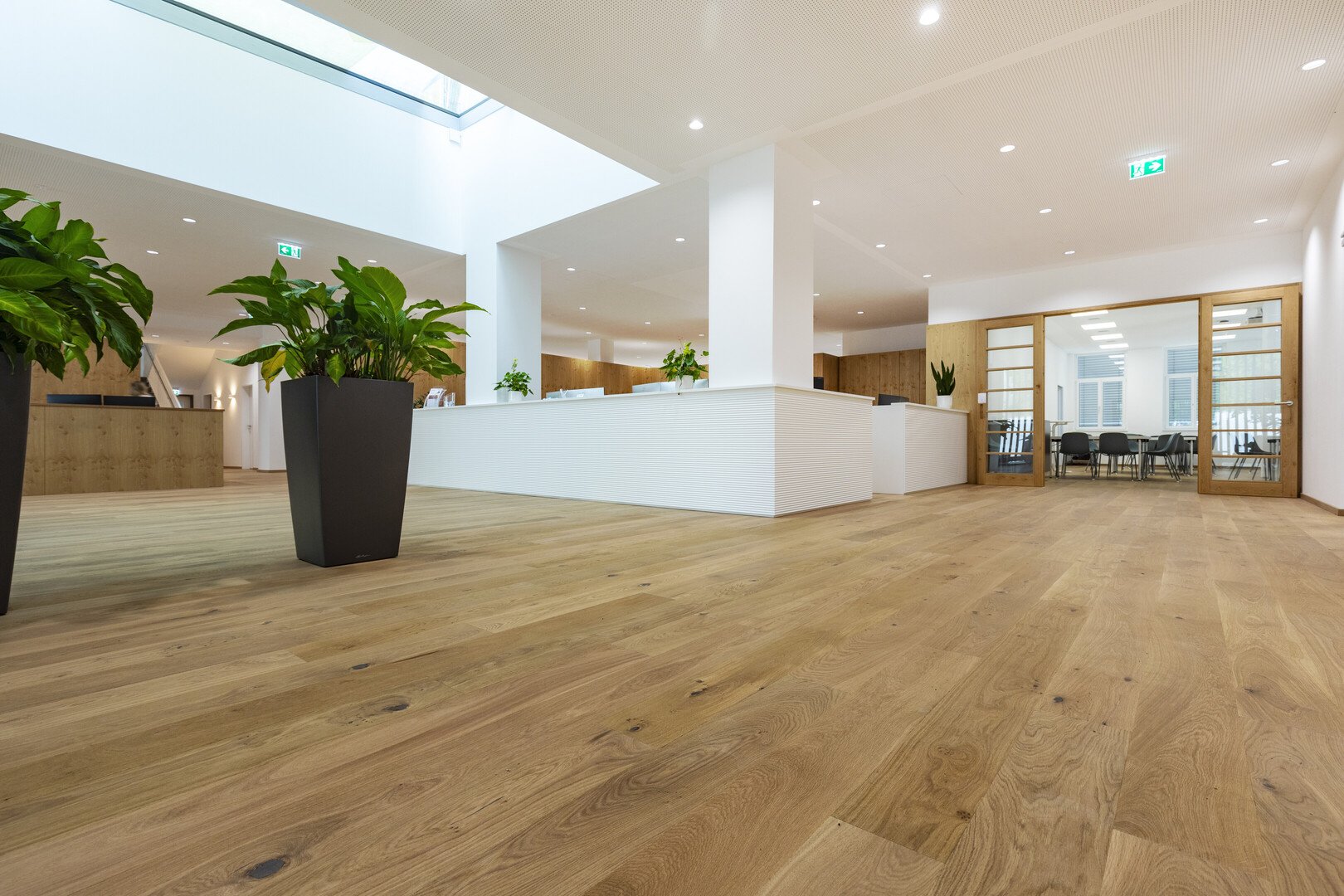 TRAPA Dielenboden Eiche astig gebürstet Lugano - ProConsult, AT
