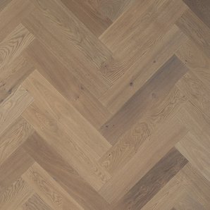 Rovere Canneto nodoso Arezzo