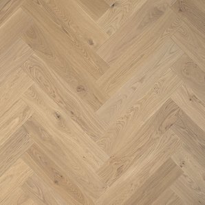 Rovere nodoso Lugano