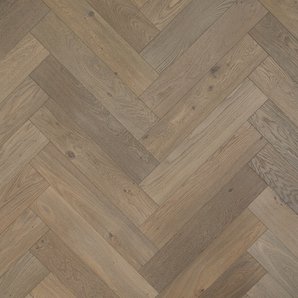 Rovere Canneto nodoso Ancona