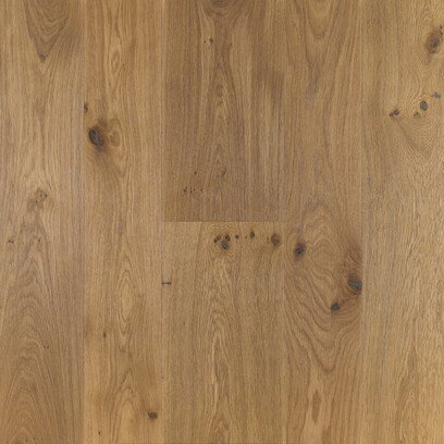 Rovere Canneto nodoso Livorno