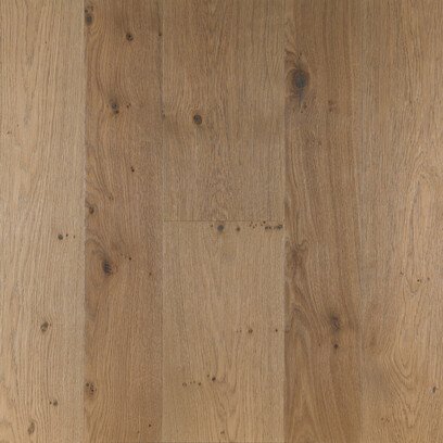 Rovere Canneto nodoso Arezzo