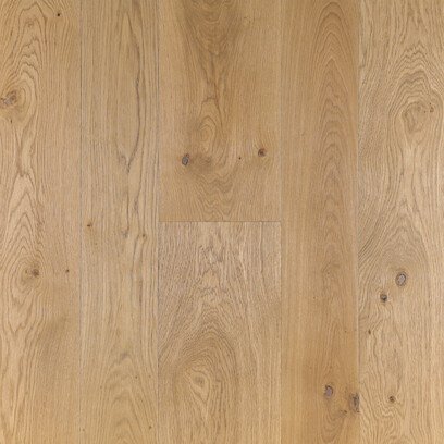 Rovere nodoso Lugano