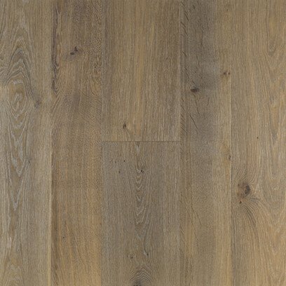 Rovere Canneto nodoso Ancona