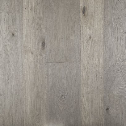 Rovere nodoso Pisa