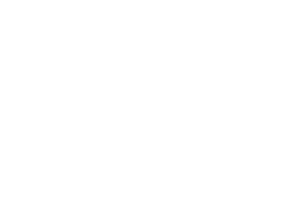 Obliquo 140 x 950 mm